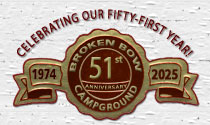 51st Anniversary Seal